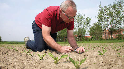 ‘Spaar de natuurlijke vijanden van luizen’