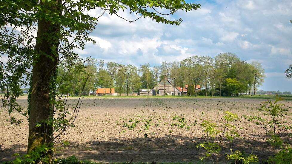 Hester woont in de boerderij naast haar ouderlijk huis.