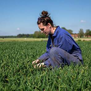 Hester in de tarwe. Zolang haar vader boer is, heeft hij geen tarwe in het bouwplan gehad. Dit jaar is dat voor het eerst. „In de jaren daarvoor teelde ik koolraap in plaats van graan. En ach, een rustgewas? Als ik na veertig jaar met zo’n bouwplan nog st