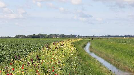 EU-natuurherstelwet loopt risico verworpen te worden