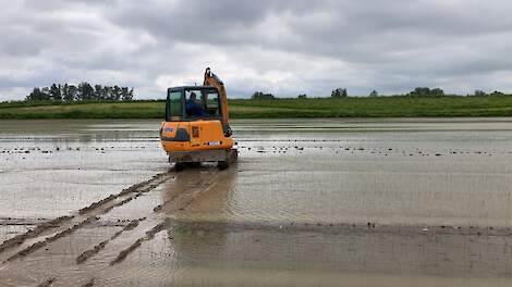 En opnieuw trekken stortbuien over het zuidwesten