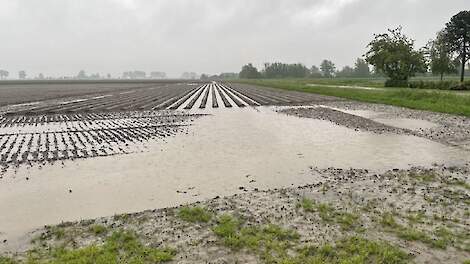 LTO en NAV roepen overheid op coulant te zijn bij GLB-verplichtingen