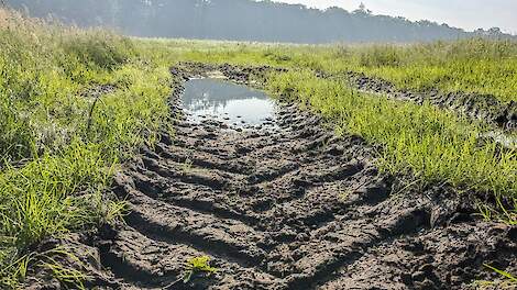 'Alleen lente 1983 was nog natter'