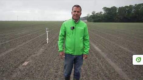 Video: Weerupdate: Alle hens aan dek vanwege phytophthora