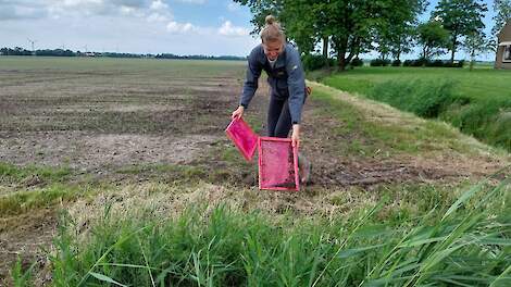 Fotoserie: De werkdag van Linda Maarsingh