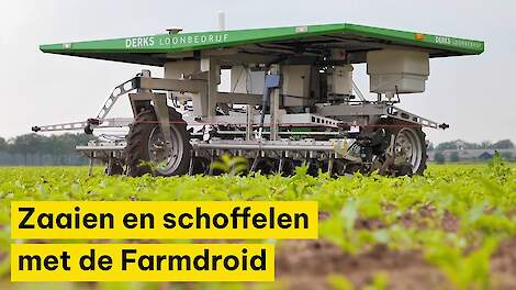 Video: Brabantse bieten en cichorei schoffelen met Farmdroid