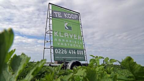 Grondhonger houdt markt op hoog niveau