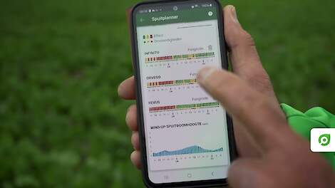 Video: Druk van Phytophthora momenteel extreem hoog