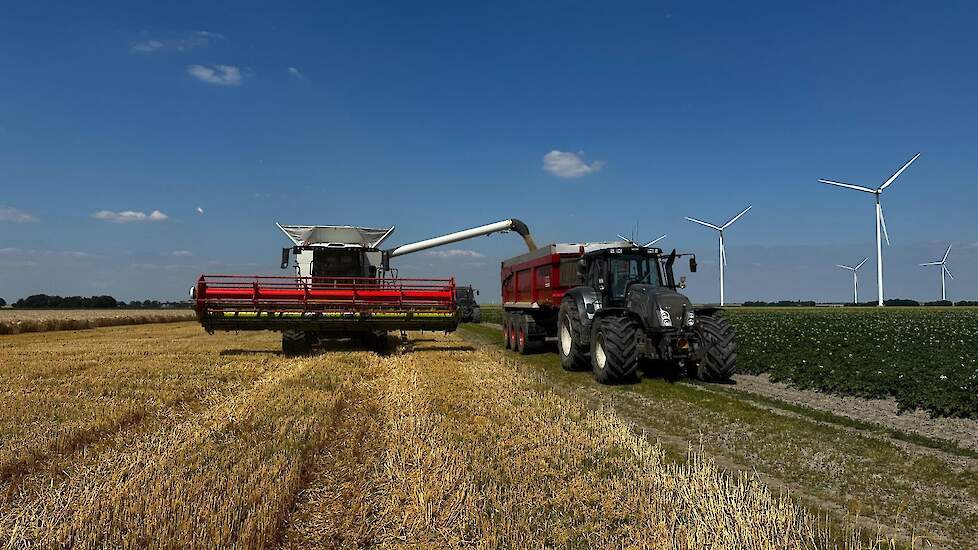 De oogst wordt afgeleverd aan Agrifirm.