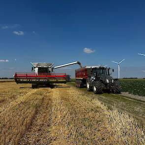 De oogst wordt afgeleverd aan Agrifirm.