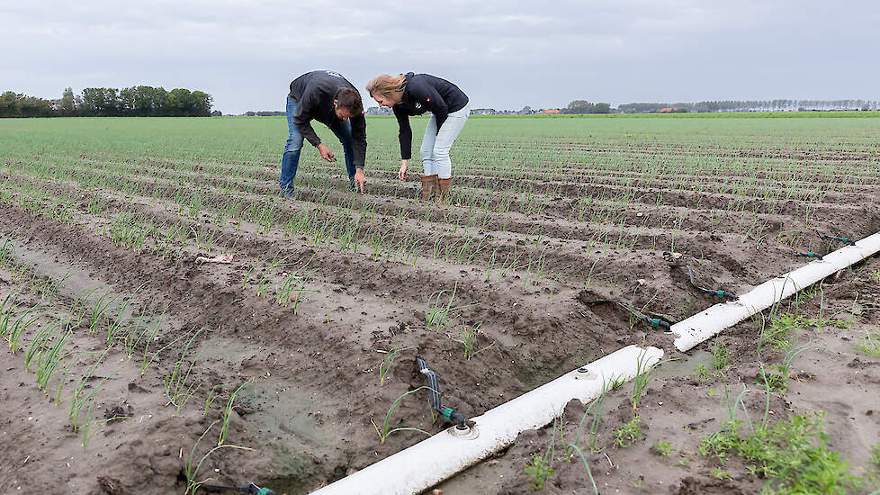 Deltaplan Agrarisch Waterbeheer Ondanks Natte Voorjaar Toch