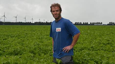 Fotoserie: Phytophthora duwt biologische aardappelteler naar gangbaar: 'Ik kan niet anders'