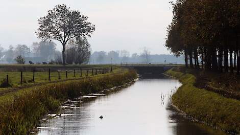 Ctgb gaat middelen toetsen aan effect op waterkwaliteit