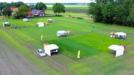 Video: Terugblik Groenbemesterdag: Stikstof en structuur