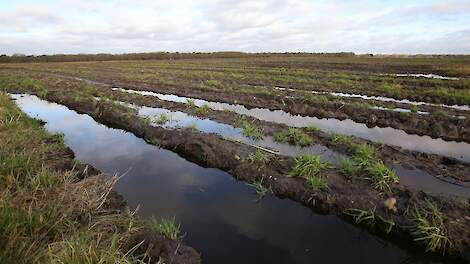 ZLTO-leden melden meer dan 29 miljoen euro schade door wateroverlast