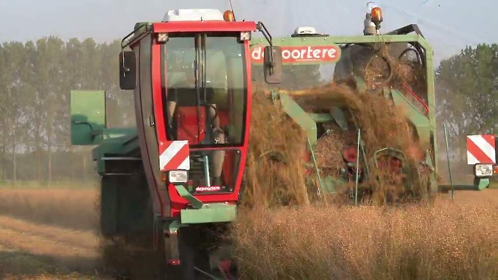 First harvest flax | vlas plukken | vlas slijten | de Poortere DAEAHY flax | season Summer 2024