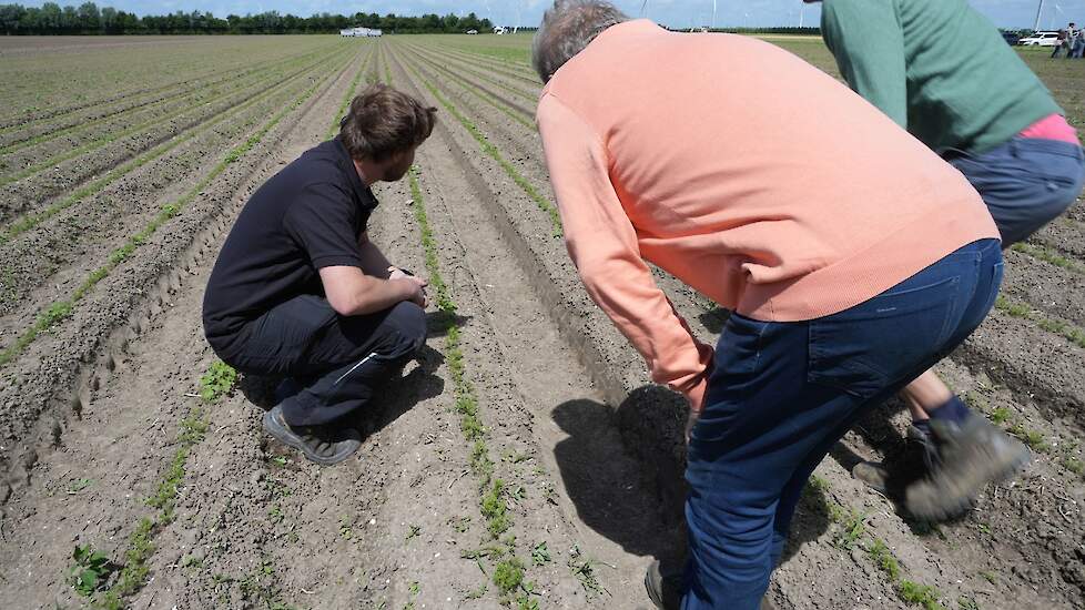 Resultaat bekijken van elektrisch schoffelen