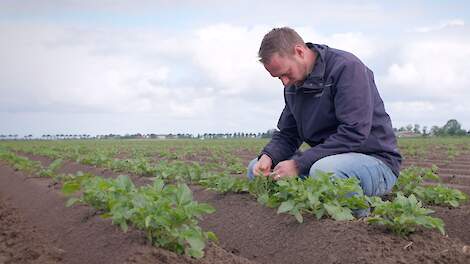 Video: Help uw gewas door perioden van stress