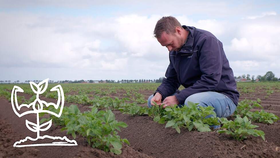 Een krachtig gewas - Biostimulanten