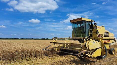 Benut vroege oogst wintergerst voor bodemverbetering