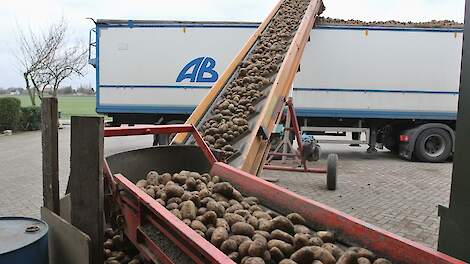 Windstilte in de aardappelmarkt