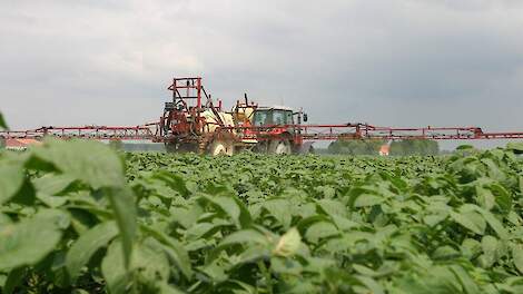 Uitslag poll: Helft aardappeltelers denkt phytophthora niet de baas te kunnen