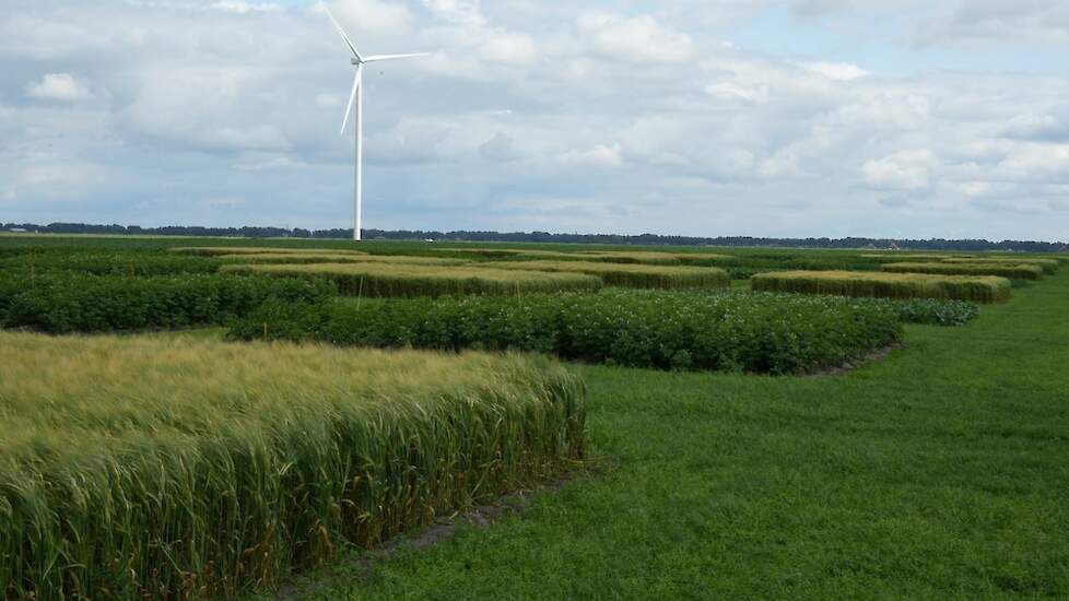 Proefveld bouwplanproef