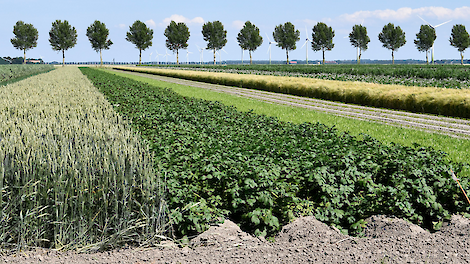 Nut en noodzaak van agrobiodiversiteit