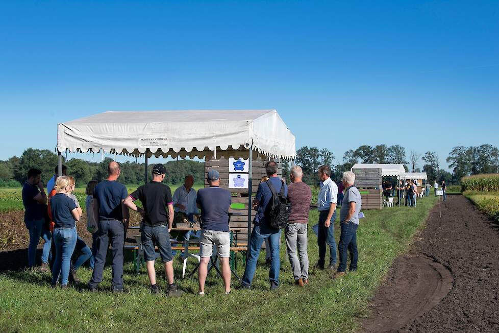 In groepen langs de verschillende gewassen.