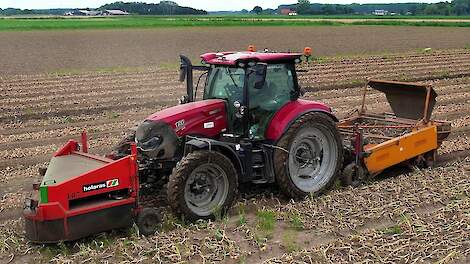 Video: Brabantse uien rooien met twee rooicombinaties