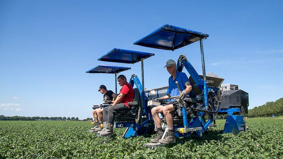 Het voordeel van deze machine is dat ze met drie man aan de slag kunnen. Niet alleen vanwege de extra meters die je op een dag kunt maken. „De middelste man, één van de Polen, moet het vak nog wat leren. Zo kunnen we met z’n tweeën kijken wat hij doet.”