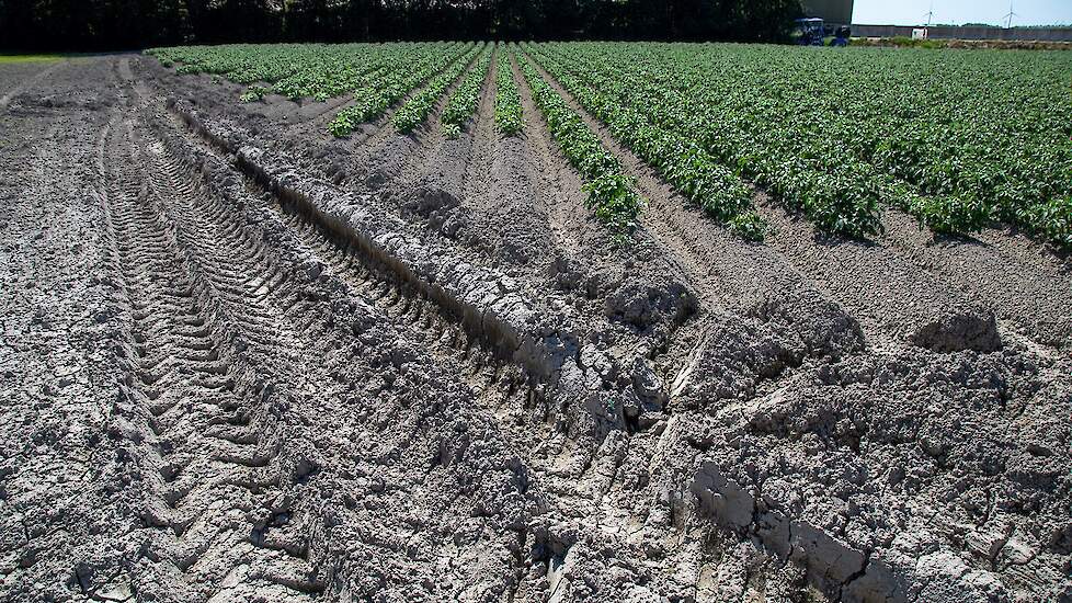 Het heeft ook in de Wieringermeer veel geregend in de afgelopen maanden. Doordat het nu al ruim een week droog is, is de bovenlaag van de grond keihard geworden. „Daaronder is het nog nat zat.”