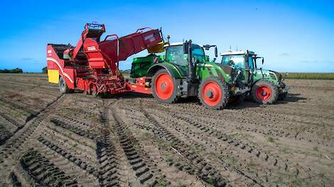 Aardappelareaal Duitsland naar boven bijgesteld