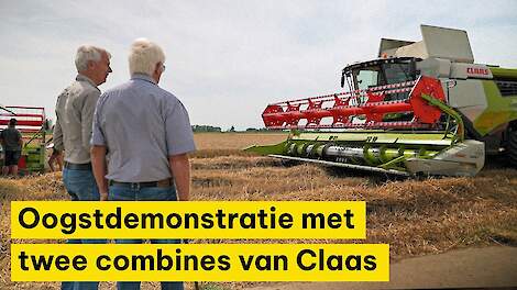 Video: Oogstdemonstratie met twee combines van Claas