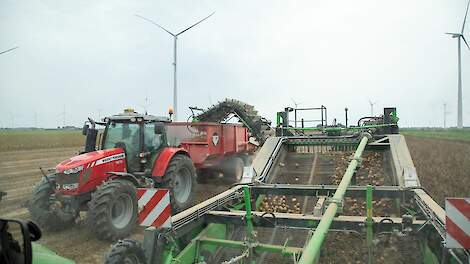 Fotoserie: Lagere aardappelopbrengsten voor Flevolandse akkerbouwer