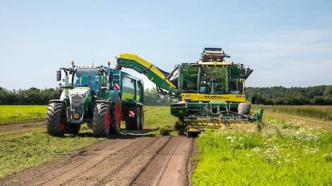 Fotoserie: Parijse wortelen rooien over de grens