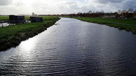 MOB: ‘Landbouw moet per direct stoppen met gebruik PFAS’