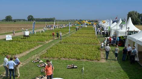 Vernieuwde Aardappeldemodag bijna klaar voor de start