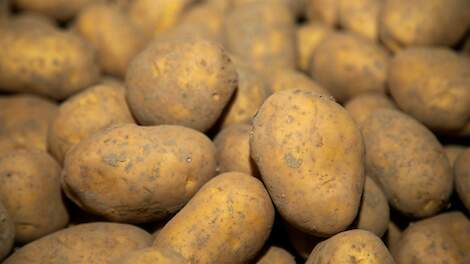 Service to Potato nieuw handelsplatform om aardappeltelers extra kansen te bieden