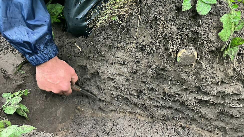 Deltaplan Agrarisch Waterbeheer Hoge Onkruiddruk Dwingt Akkerbouwer Albert Jan Tot Inzet Van