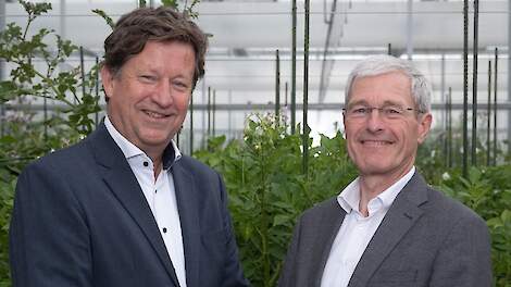 Hans Huistra volgt per direct Gerard Backx op als ceo bij Royal HZPC Group