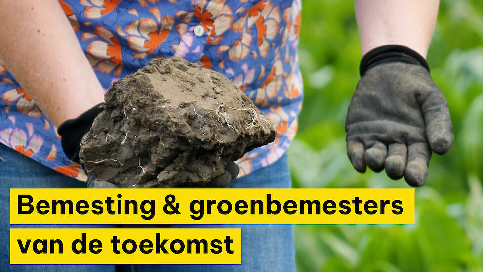 Bemesting & groenbemesters van de toekomst | Discussiepanels op inspiratie boerderij Lelystad