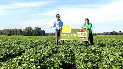 Alle sperziebonen van Hak biologisch geteeld in Nederland