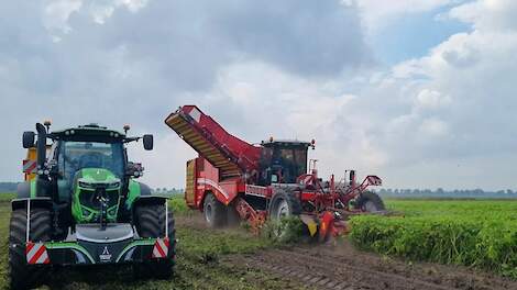 Zetmeelaardappelen: goede opbrengsten ondanks slecht seizoen