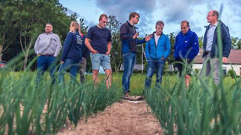 De handvaten die het DAW ondernemers biedt wordt gewaardeerd blijkt uit onderzoek