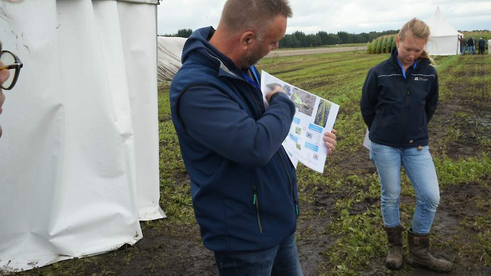 Bodeminsecten Klaas van Rozen