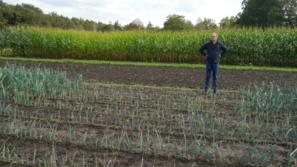 Gebrekszieketenveld Marwijksoord