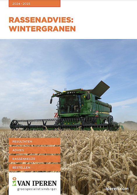 Folder Rassenadvies Wintergranen 2024-2025