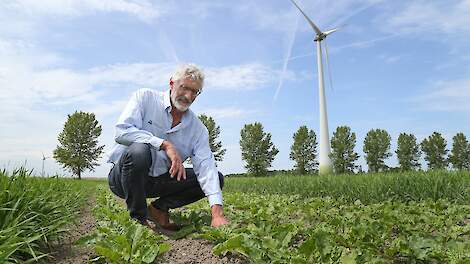 Bio-sector moet écht stappen maken