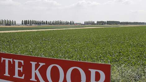 Prijs landbouwgrond voor het eerst boven de 80.000 euro